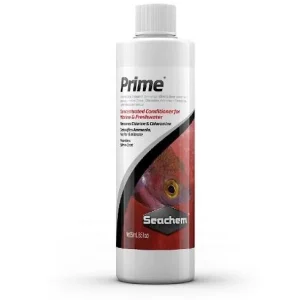 Prime 1 lts