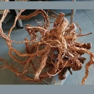 Troncos Millenium Tree M