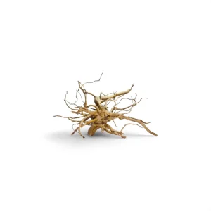 TRONCO RED MOOR WOOD Kg