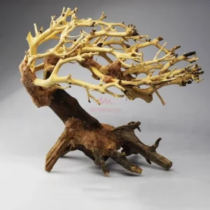 Wave Bonsai S