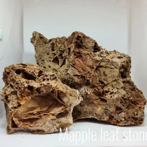 ROCHA Mapple Leaf Kg