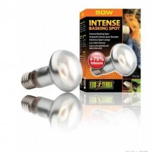 LAMPADA SUN GLO TIGHT BEAM 50W