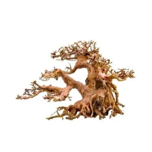 Strideways Bonsai M