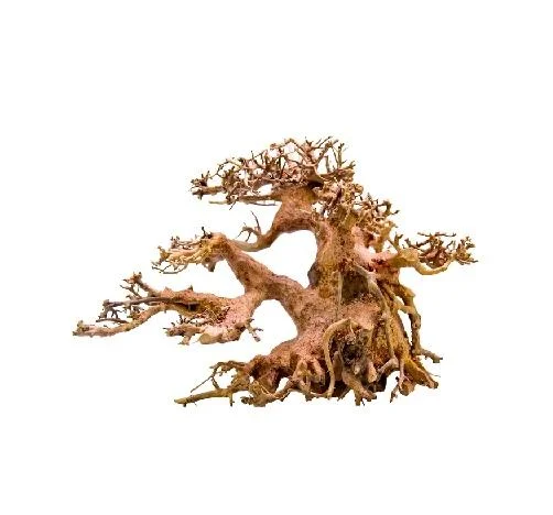 Strideways Bonsai M