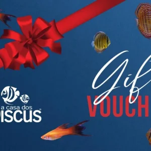 Voucher Presente